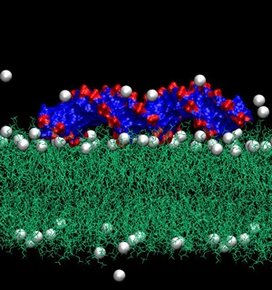 DNA-lipid-Ca
